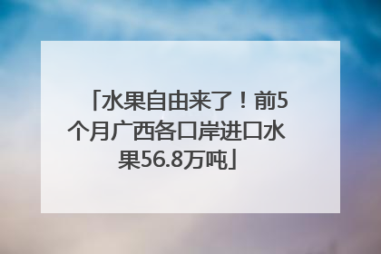 水果自由来了！前5个月广西各口岸进口水果56.8万吨